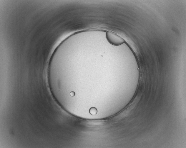 X0000116861486201001051415