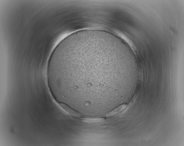 X0000116861487201001051415