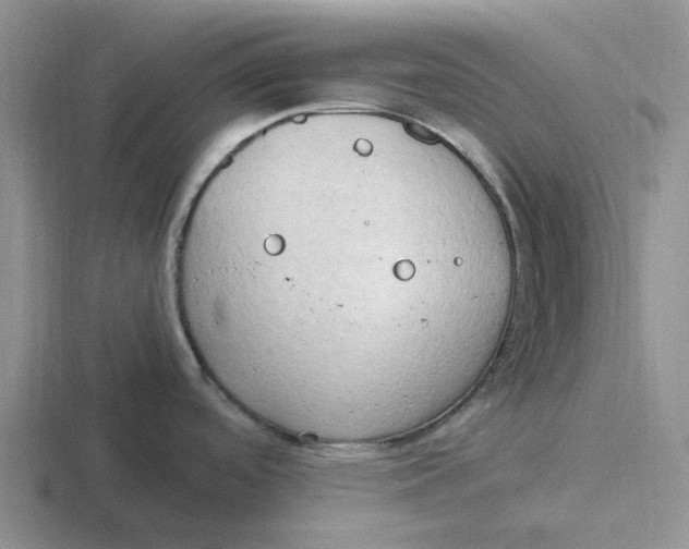 X0000116861488201001051415