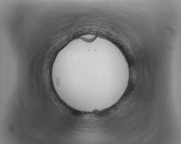 X0000116861489201001051414