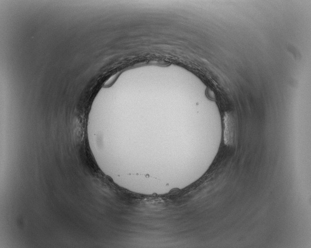 X0000116861491201001051414