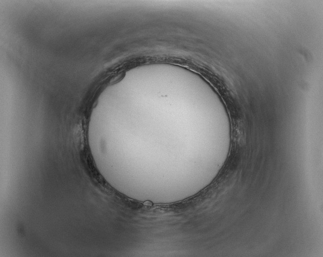 X0000116861493201001051414