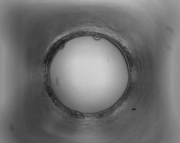 X0000116861494201001051414