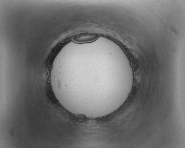 X0000116861495201001051414