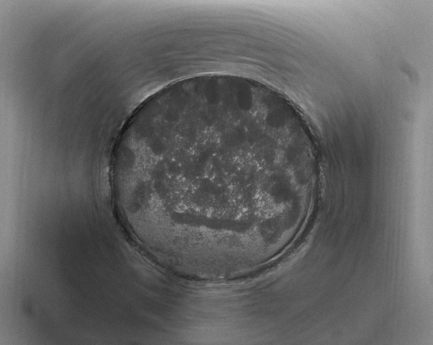 X0000116861497201001051414