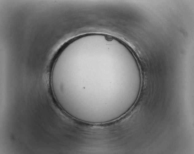 X0000116861503201001051415