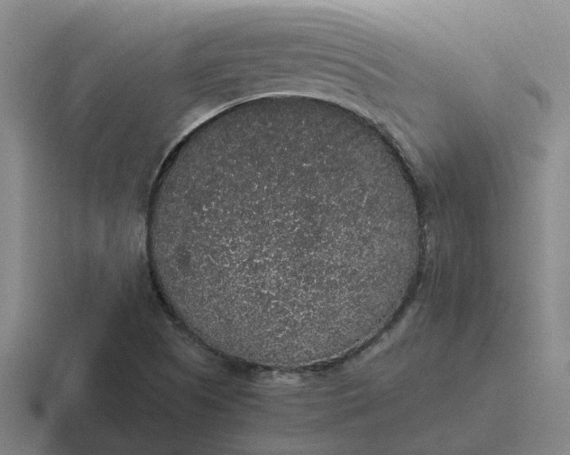 X0000116861505201001051415