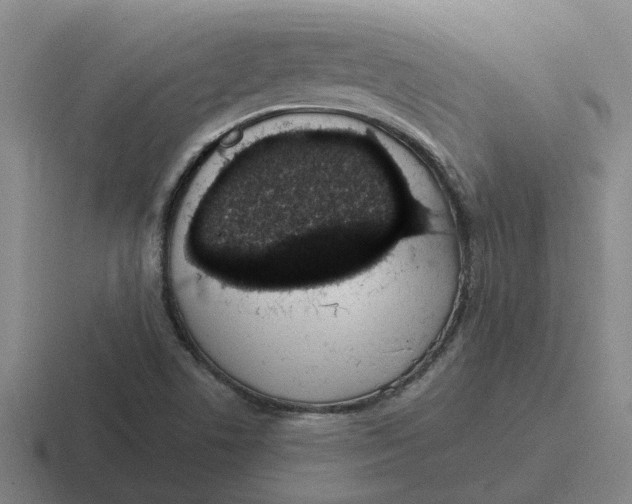 X0000116861506201001051415