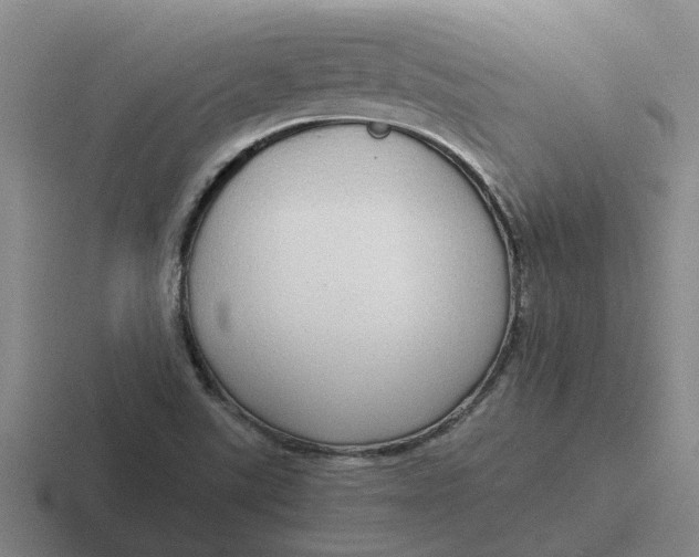 X0000116861507201001051415