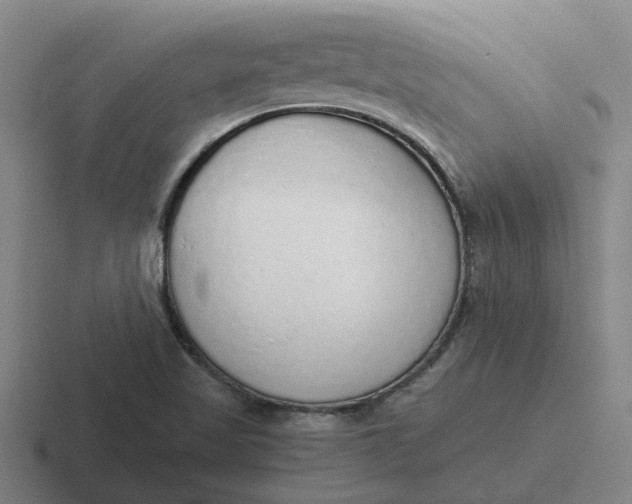 X0000116861509201001051415