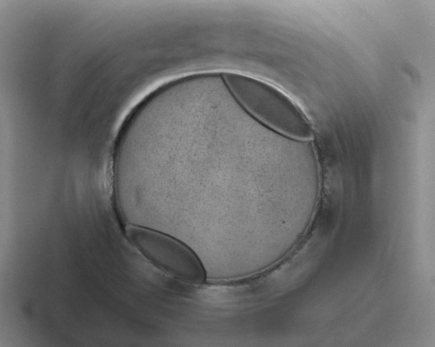 X0000116861510201001051415