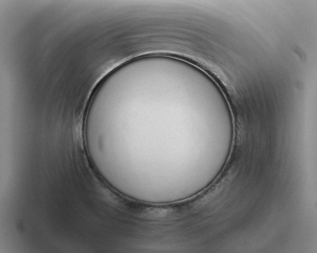 X0000116861513201001051415