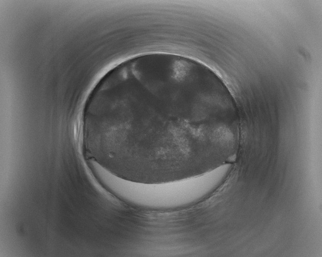 X0000116861515201001051415