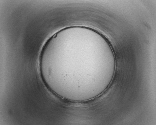 X0000116861517201001051415