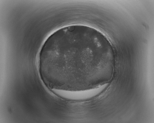 X0000116861519201001051415