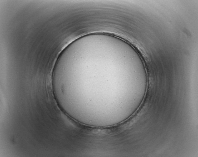 X0000116861521201001051415