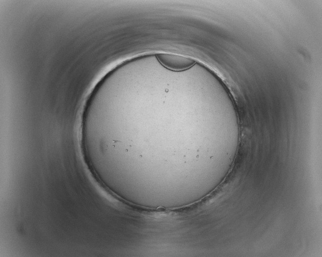 X0000116861523201001051415