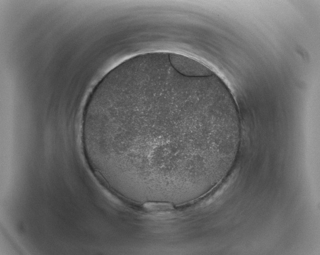 X0000116861525201001051415