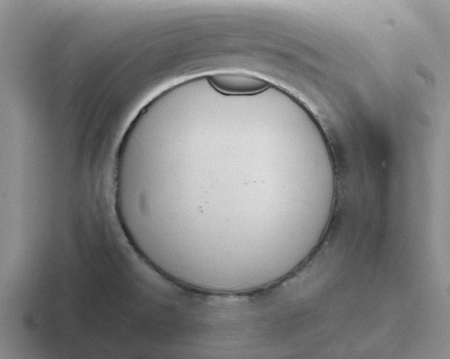 X0000116861526201001051415