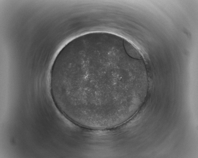 X0000116861527201001051415