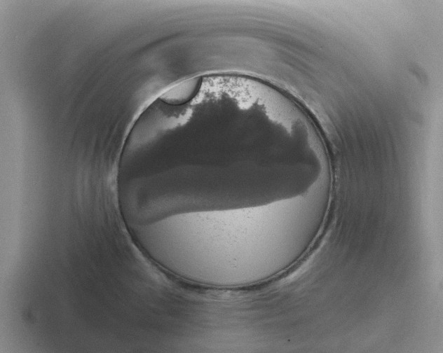 X0000116861529201001051415