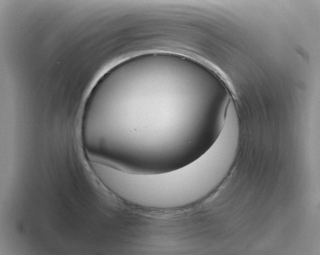 X0000116861530201001051415