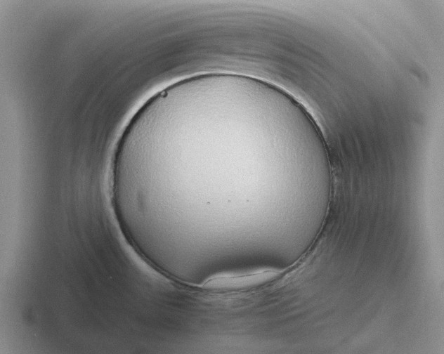 X0000116861531201001051415