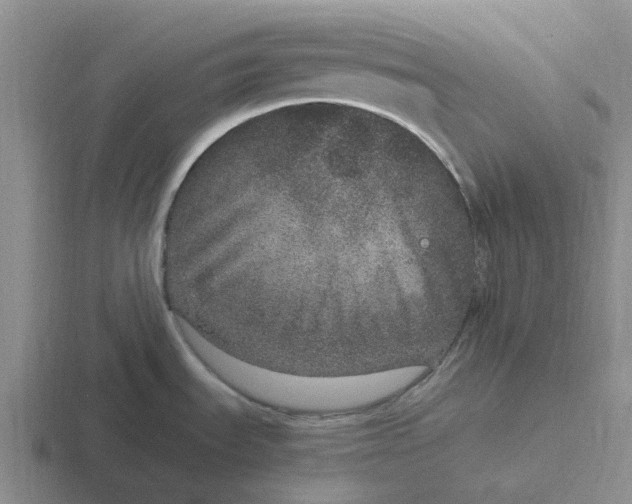 X0000116861535201001051415