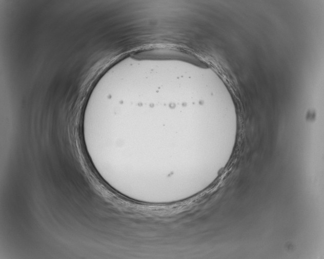 X0000116860001201001121250