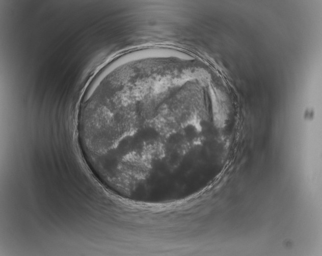 X0000116860002201001121250