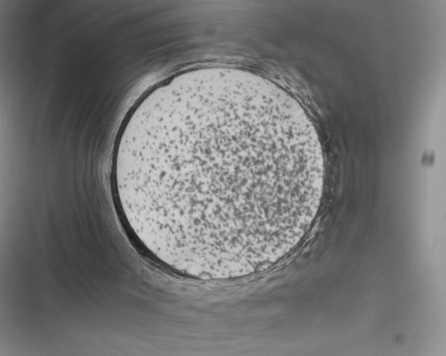 X0000116860003201001121250