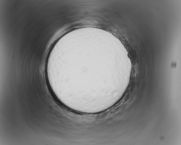 X0000116860004201001121250