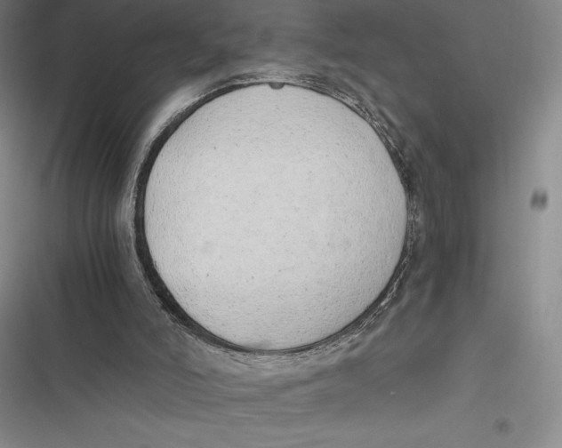 X0000116860006201001121250