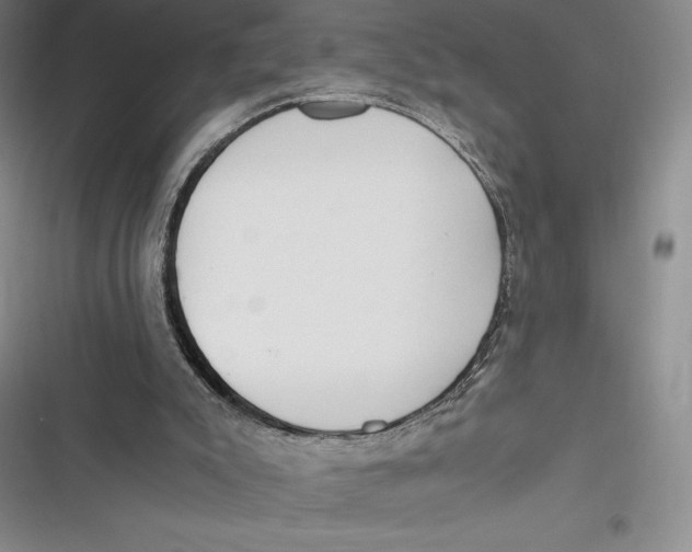 X0000116860007201001121250