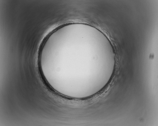 X0000116860008201001121250