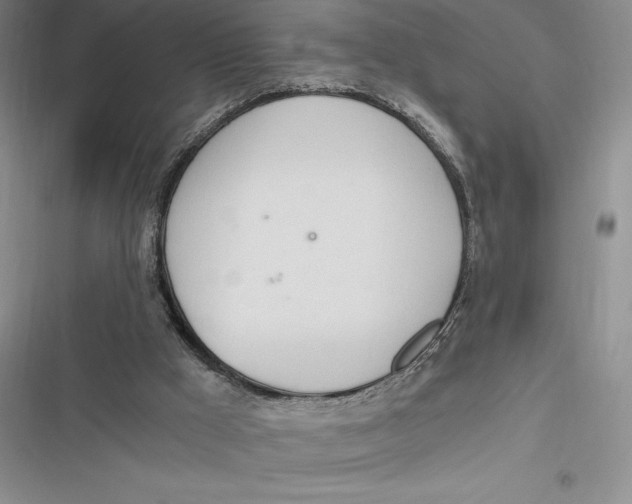 X0000116860009201001121250