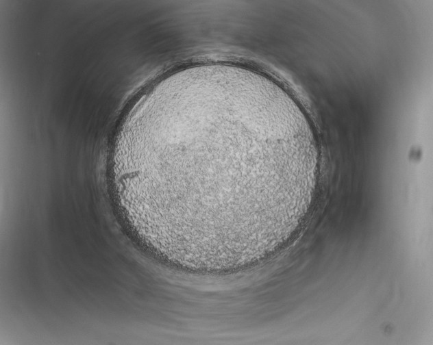 X0000116860010201001121250