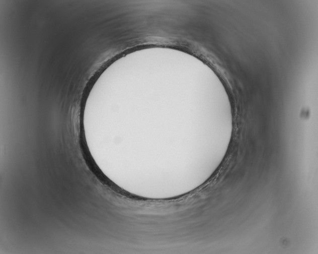 X0000116860011201001121250