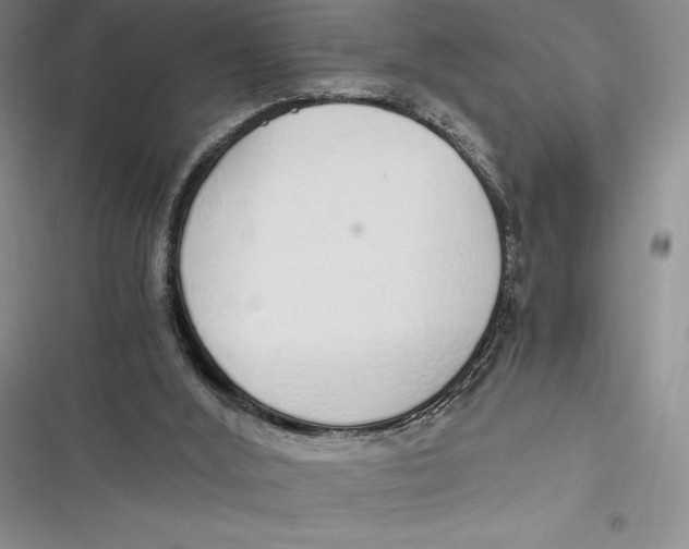 X0000116860012201001121250