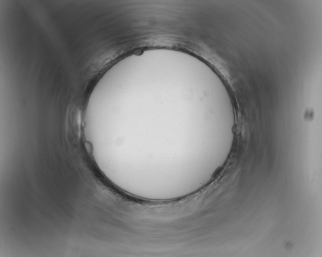 X0000116860013201001121250