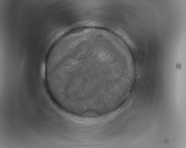 X0000116860014201001121250