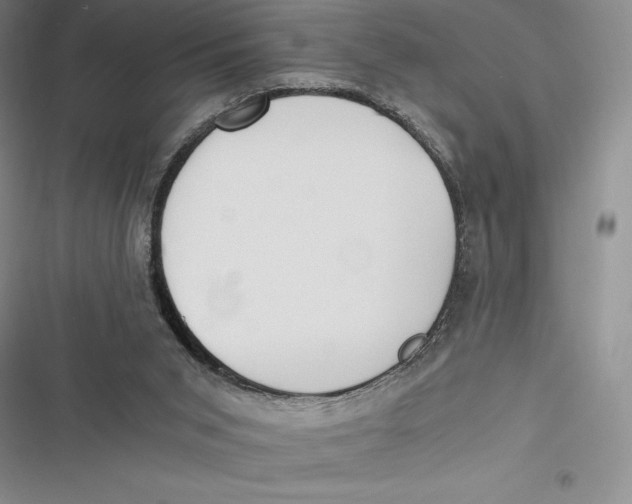 X0000116860015201001121250