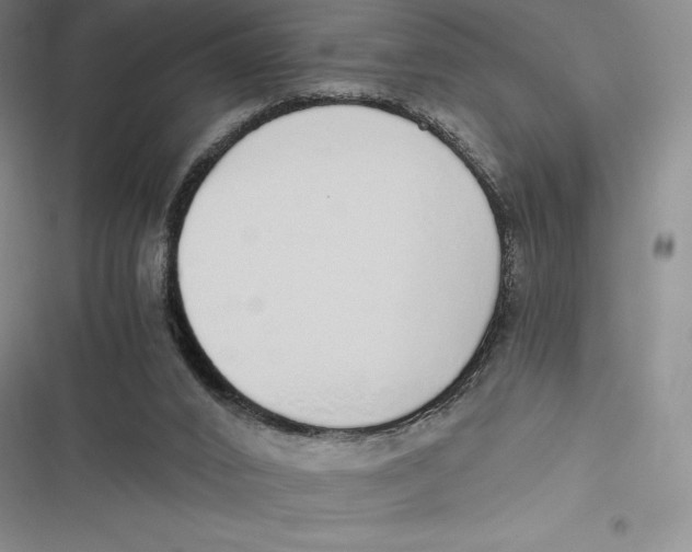 X0000116860016201001121250