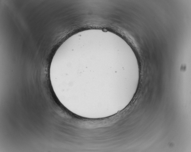 X0000116860017201001121250