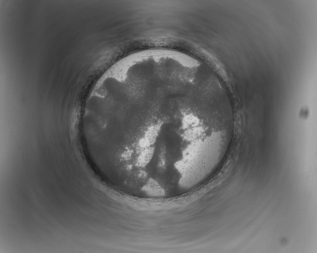 X0000116860018201001121250