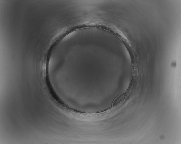 X0000116860019201001121250