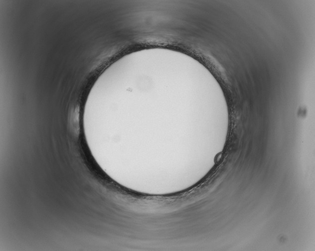 X0000116860020201001121250