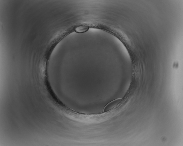 X0000116860023201001121250