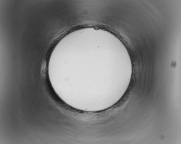 X0000116860024201001121250