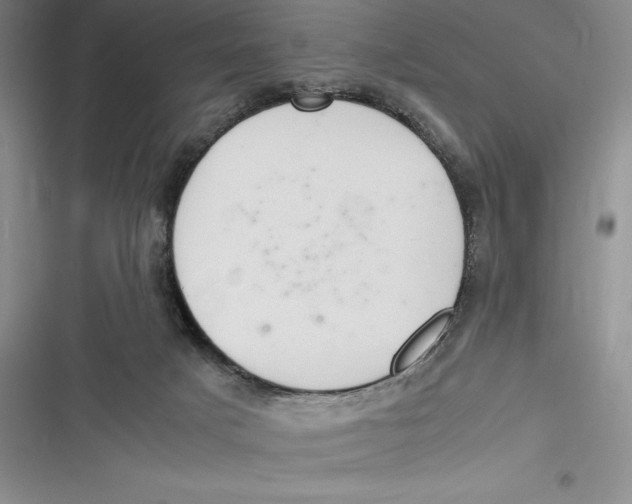 X0000116860025201001121250